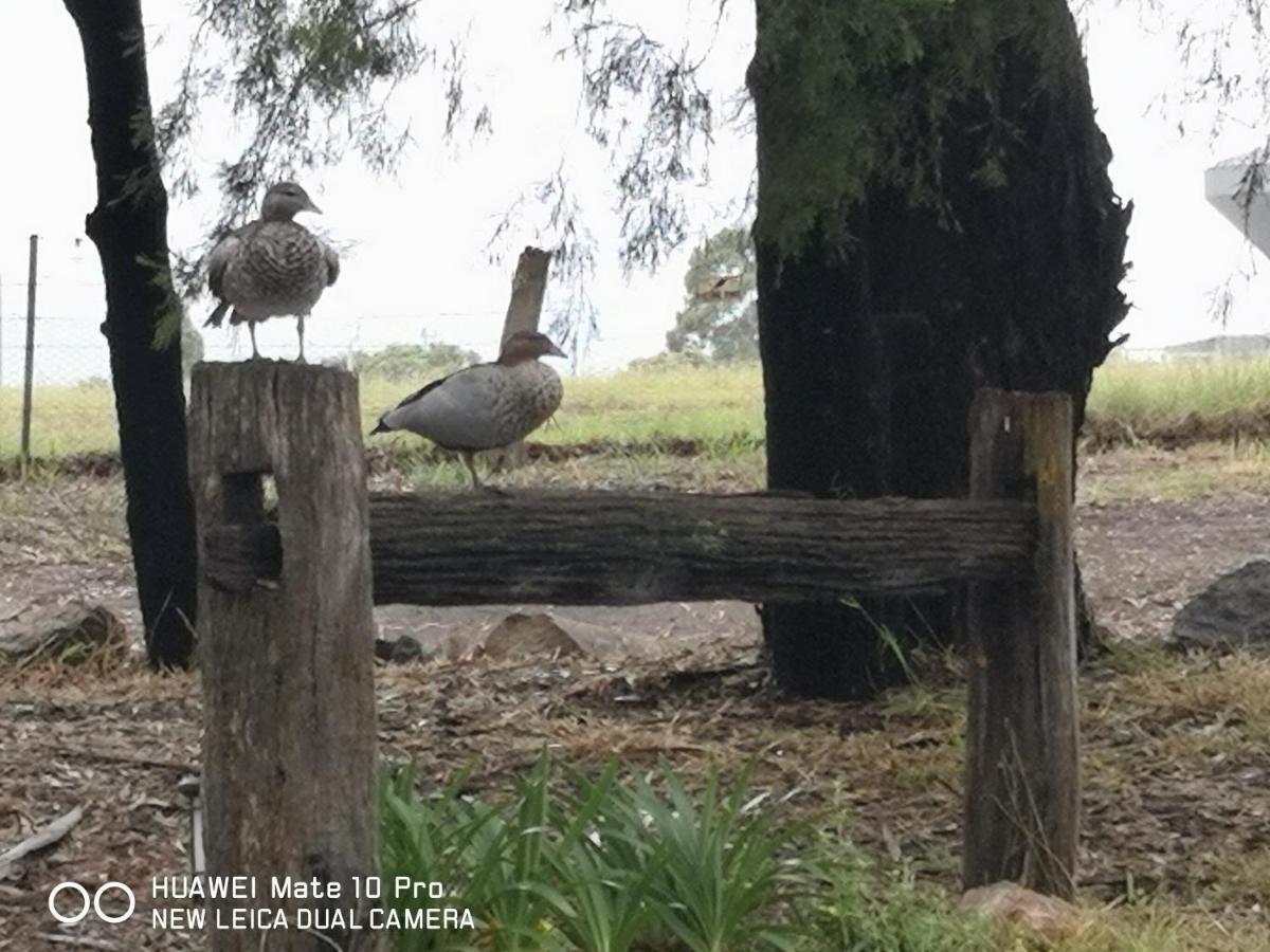 Kalimna Woods Cottages Lakes Entrance Eksteriør bilde