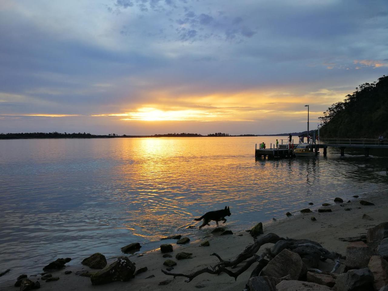 Kalimna Woods Cottages Lakes Entrance Eksteriør bilde