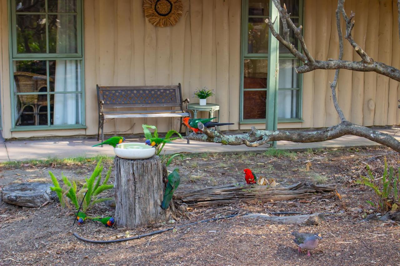 Kalimna Woods Cottages Lakes Entrance Eksteriør bilde
