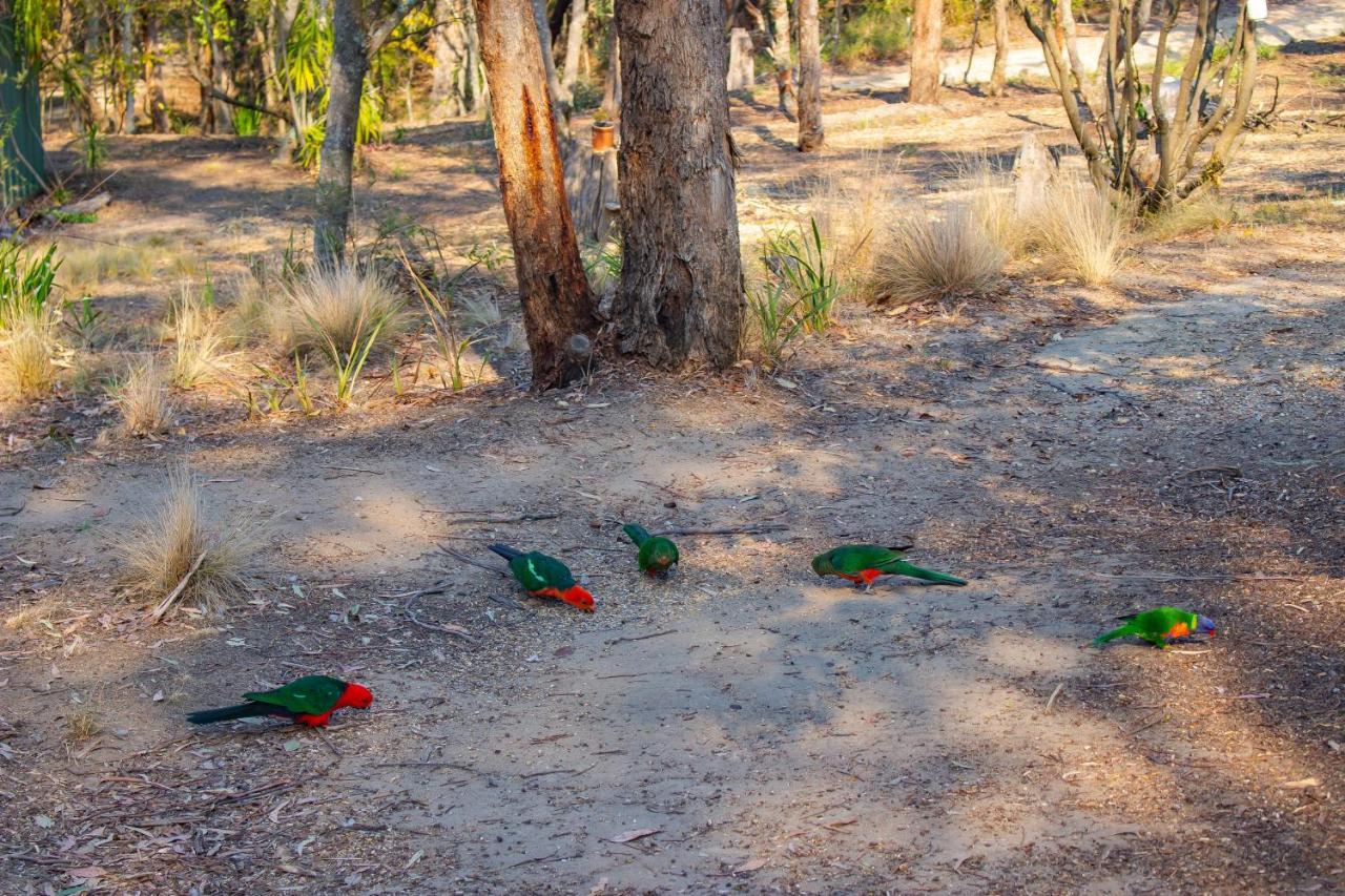 Kalimna Woods Cottages Lakes Entrance Eksteriør bilde