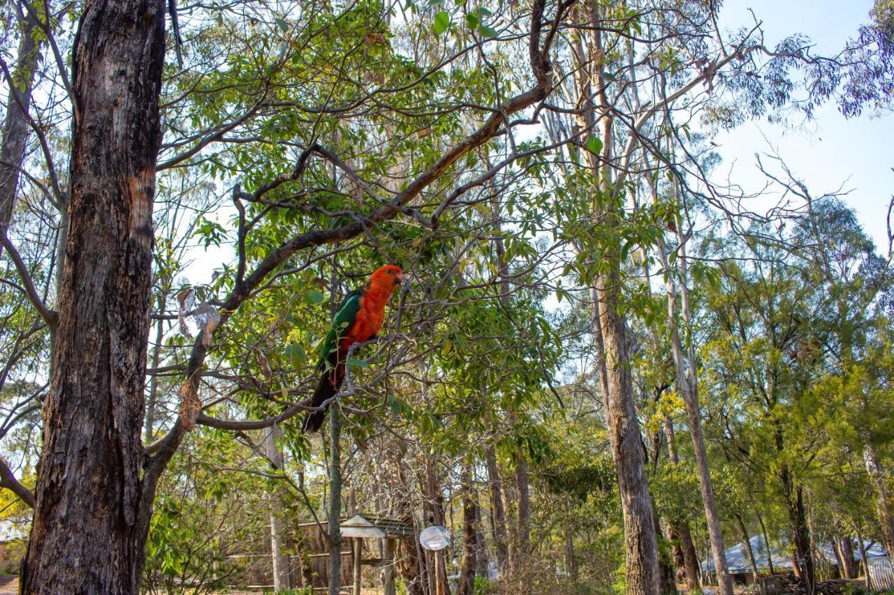 Kalimna Woods Cottages Lakes Entrance Eksteriør bilde
