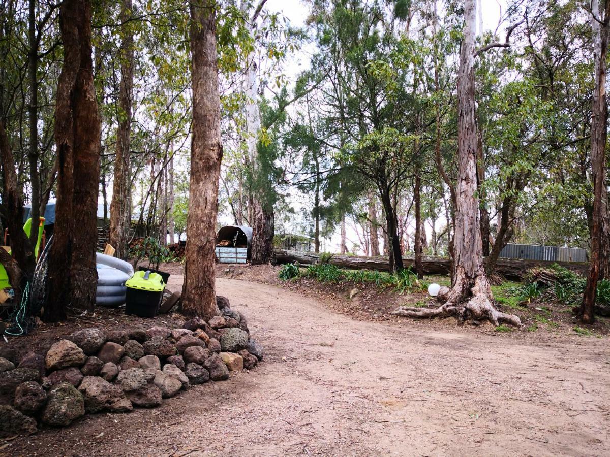 Kalimna Woods Cottages Lakes Entrance Eksteriør bilde