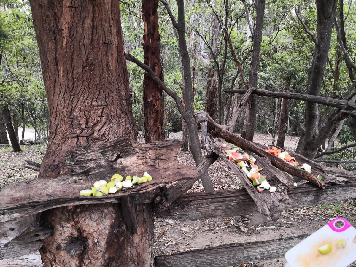 Kalimna Woods Cottages Lakes Entrance Eksteriør bilde